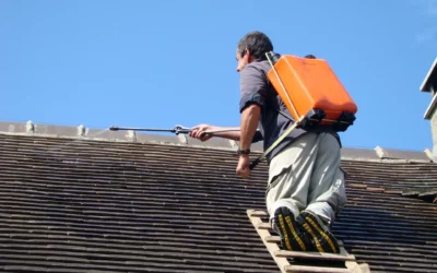 Démoussage de toiture à Lunéville : préservez la longévité de votre couverture